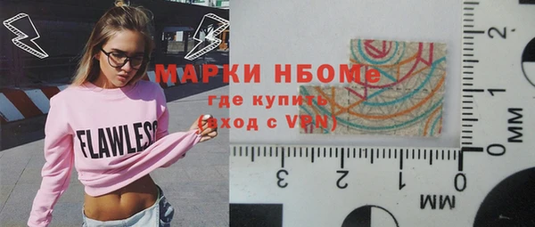 мет Алексин