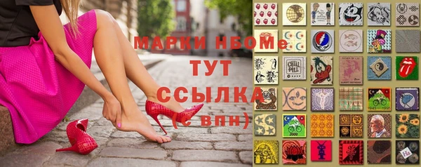 мет Алексин